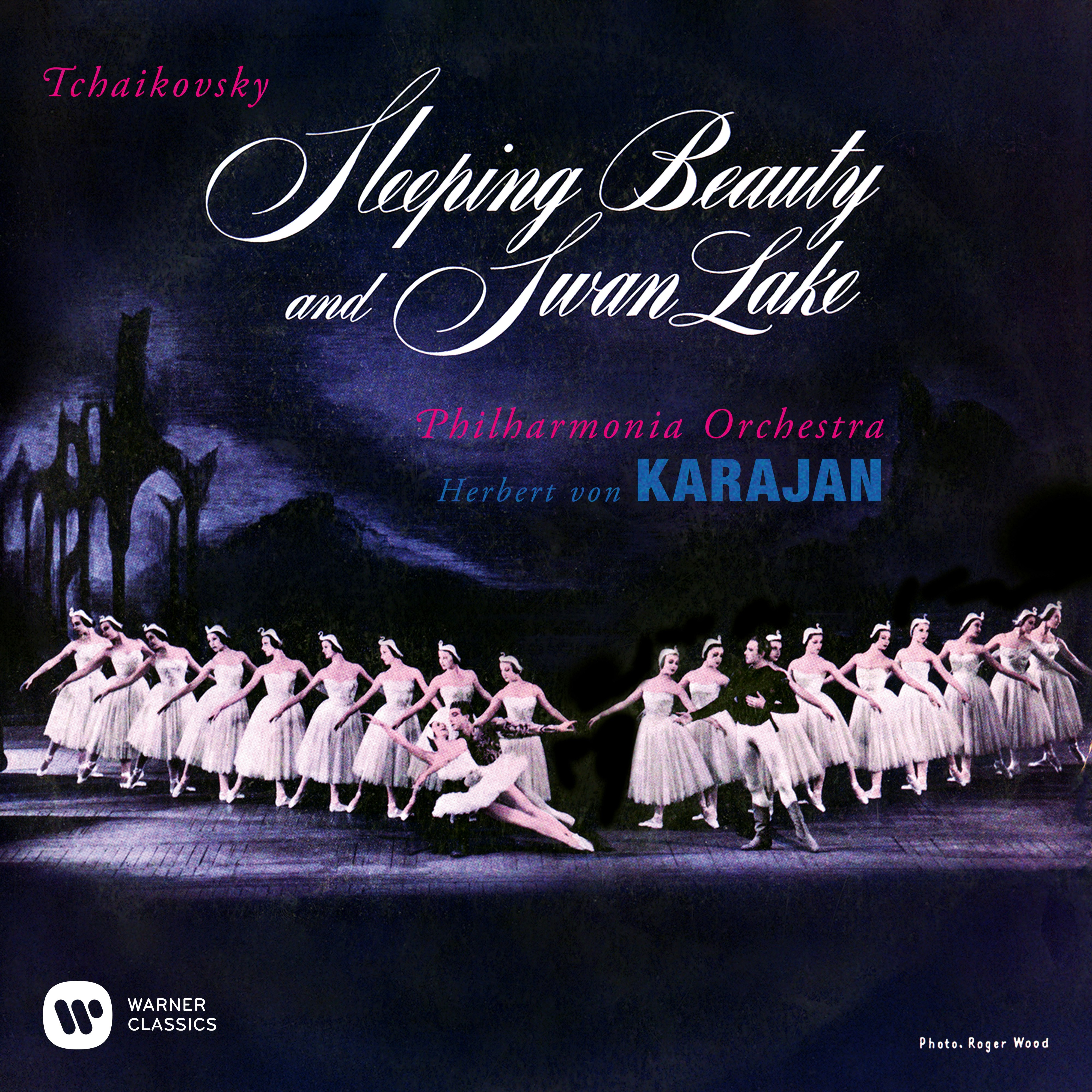 Ballerina Swan Lake Op 20a Scene