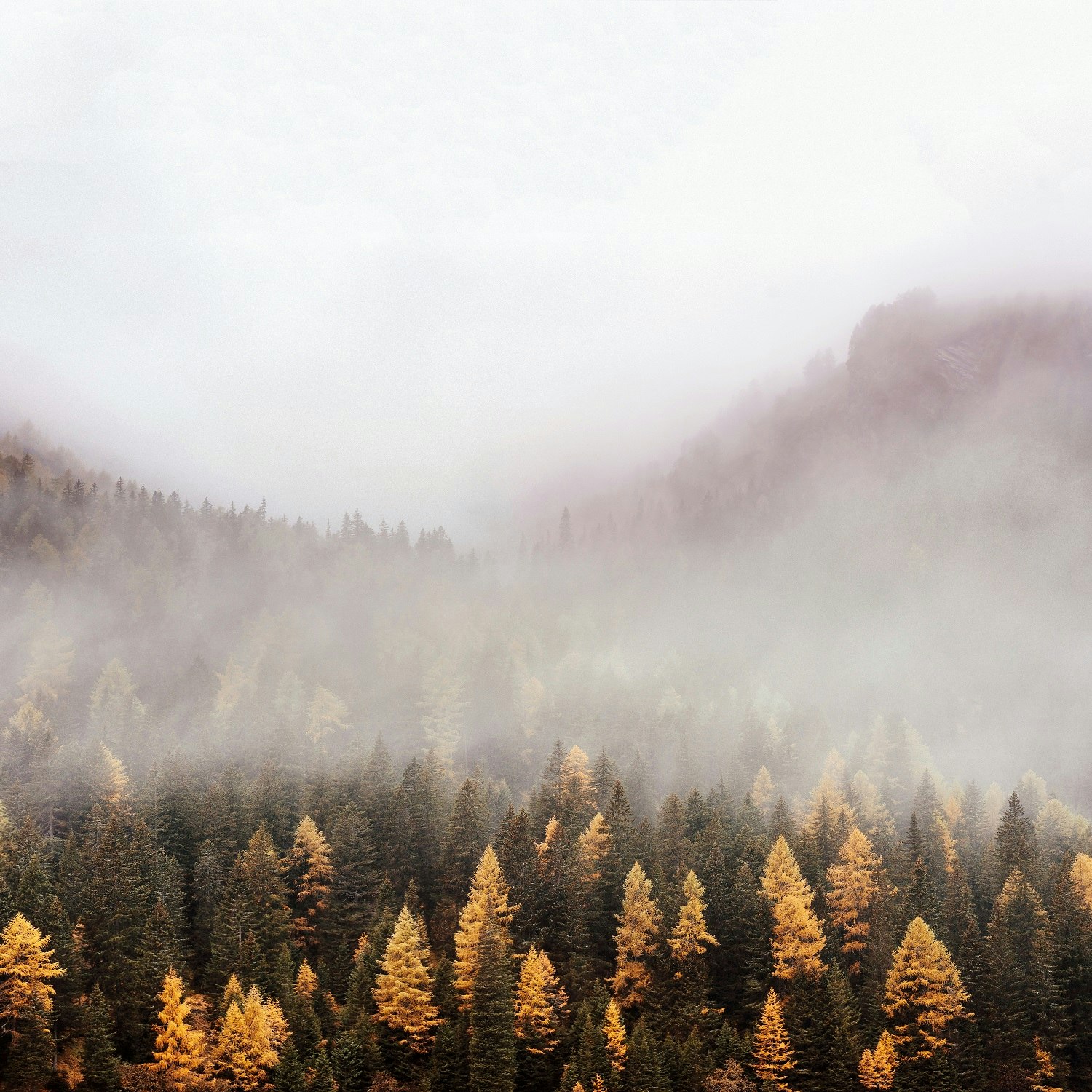 Klassische Musik Durch Die Jahreszeiten Der Herbst Streame Auf Idagio